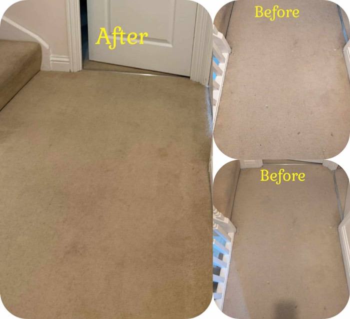 Willow's Fresh Fibers cleaning project