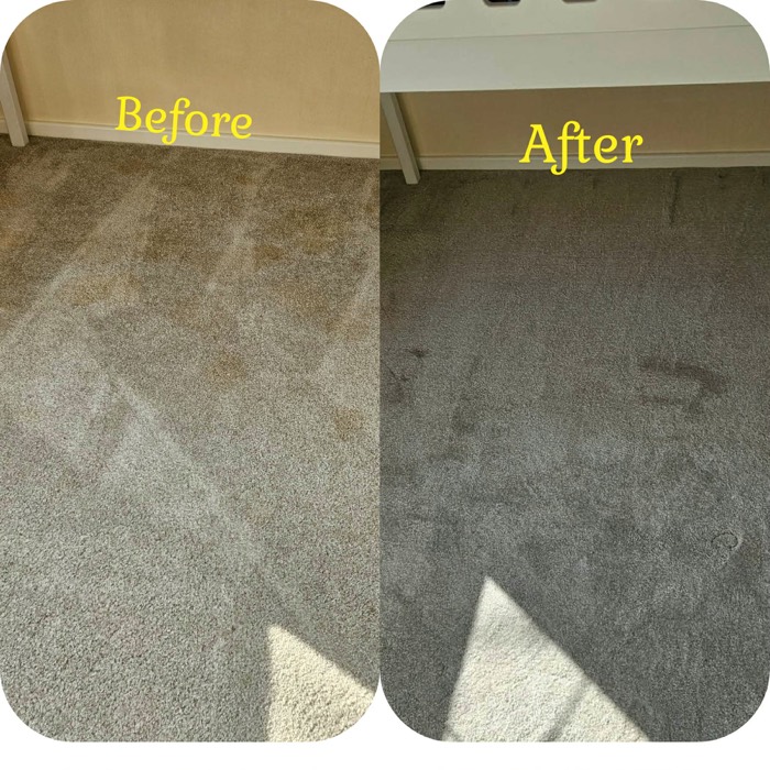 Willow's Fresh Fibers cleaning project