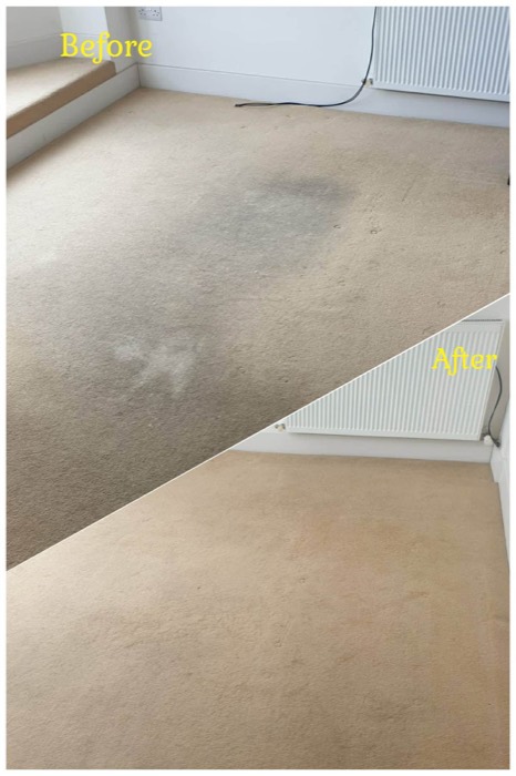 Willow's Fresh Fibers cleaning project