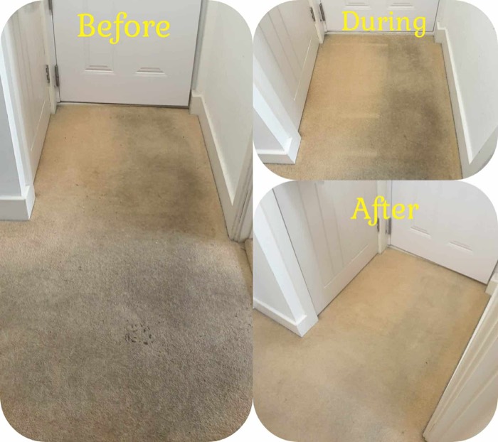 Willow's Fresh Fibers cleaning project