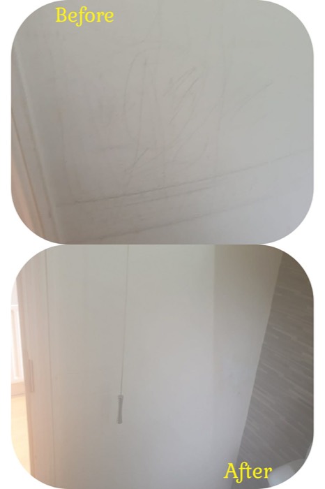 Willow's Fresh Fibers cleaning project