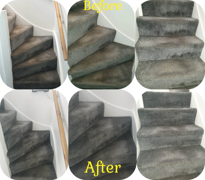 Willow's Fresh Fibers cleaning project