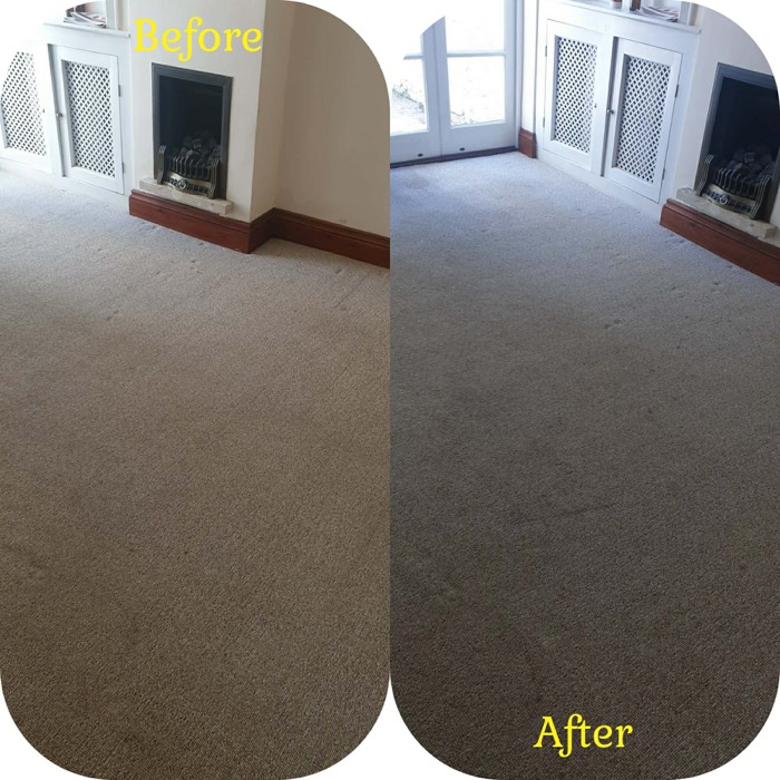 Willow's Fresh Fibers cleaning project