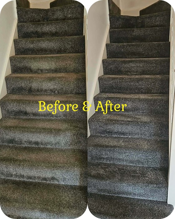 Willow's Fresh Fibers cleaning project