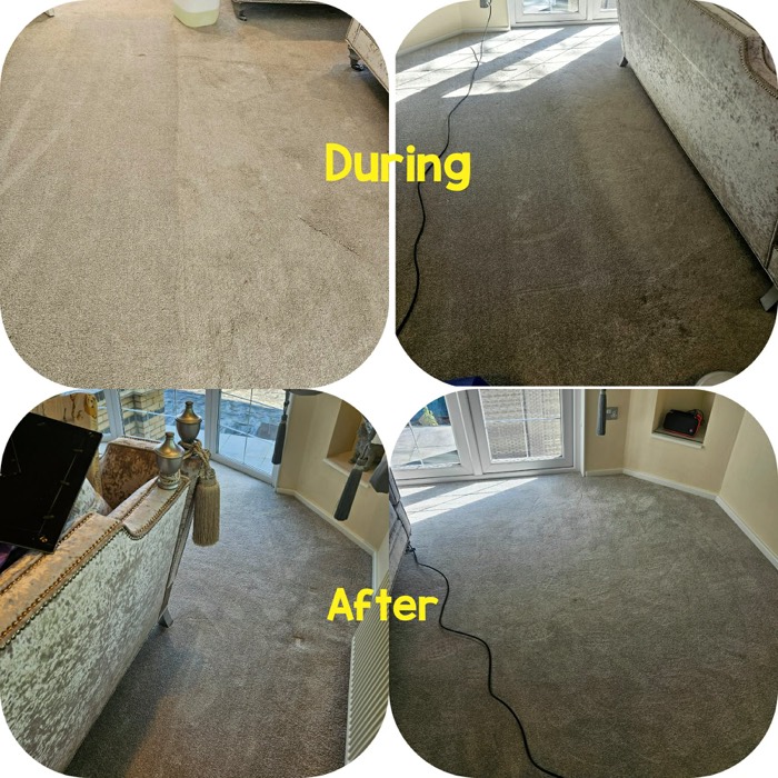 Willow's Fresh Fibers cleaning project