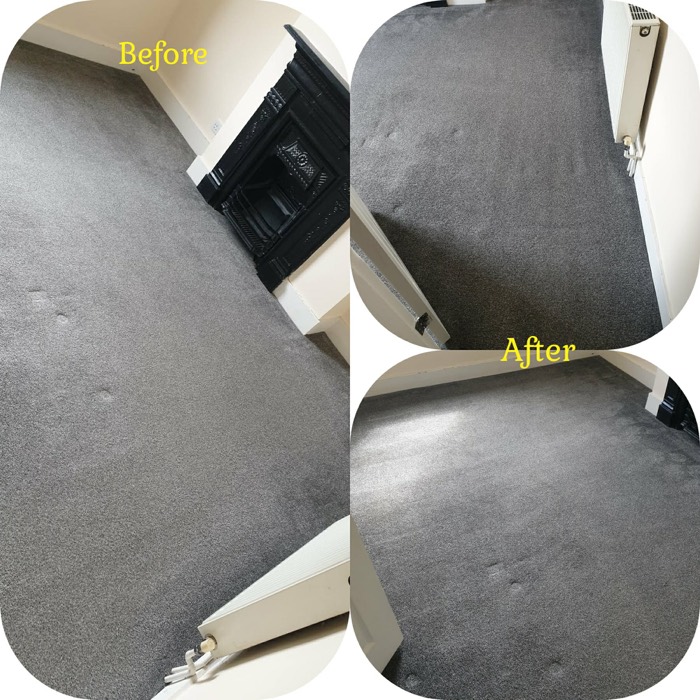 Willow's Fresh Fibers cleaning project