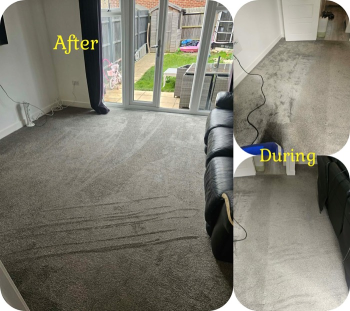 Willow's Fresh Fibers cleaning project